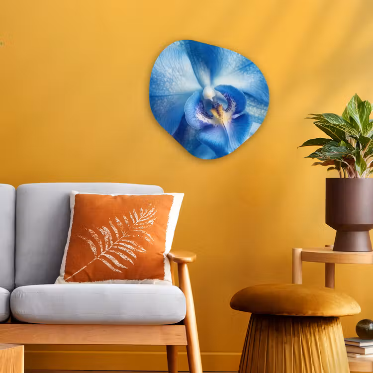 Forme organique - Forex - Bleu - Orchidée - Élégante — 3
