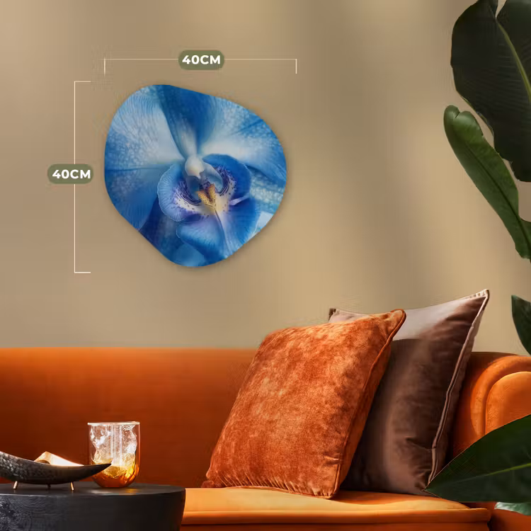 Forme organique - Forex - Bleu - Orchidée - Élégante — 4