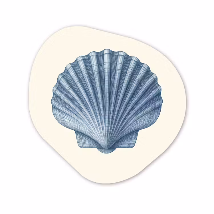 Forme organique - Forex - Côtes - Bleu - Coquille — 1