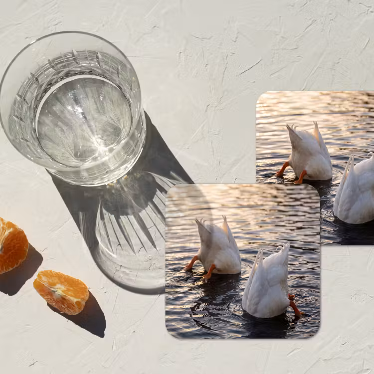 Dessous de verre - Canards - Eau - Nature — 2