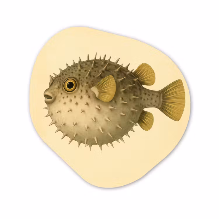 Forme organique - Forex - Épines - Poisson - Gonflées - Marron — 1