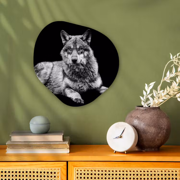 Forme organique - Forex - Faune - Loup - Noir - Blanc — 2