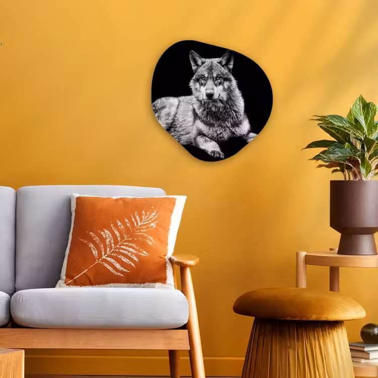 Forme organique - Forex - Faune - Loup - Noir - Blanc — 3
