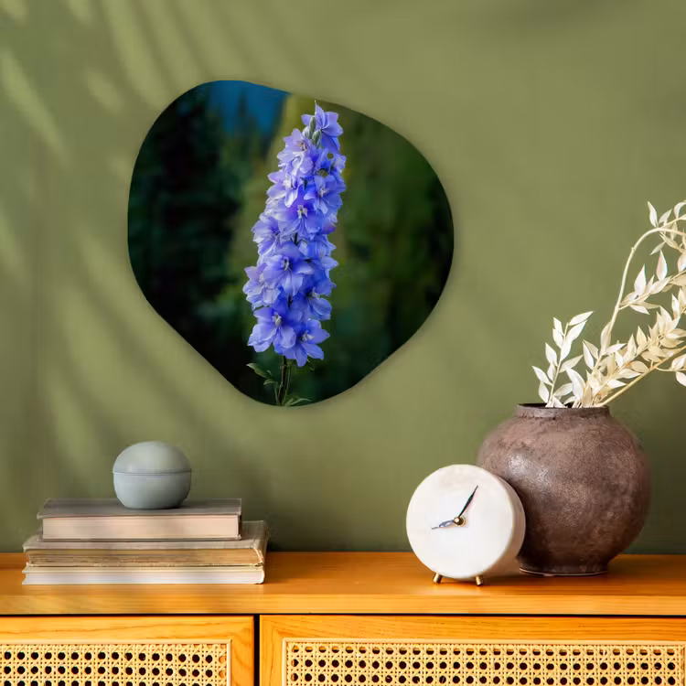 Forme organique - Forex - Fleurs - Bleu - Pin — 2