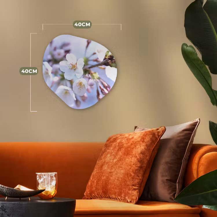 Forme organique - Forex - Fleurs - Sakura - Branches - Branches fleuries — 4