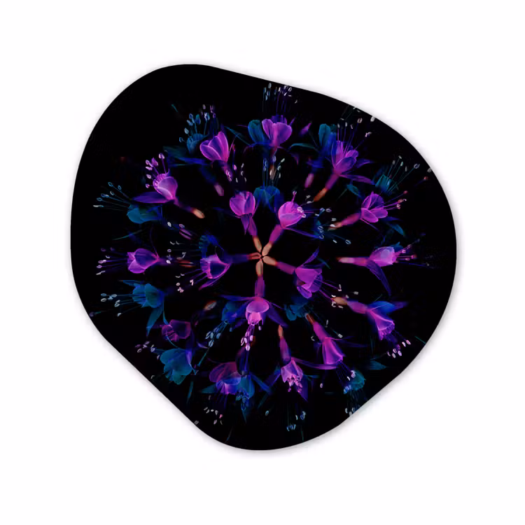 Forme organique - Forex - Fleur - Violet - Bleu - Macro - Noir — 1