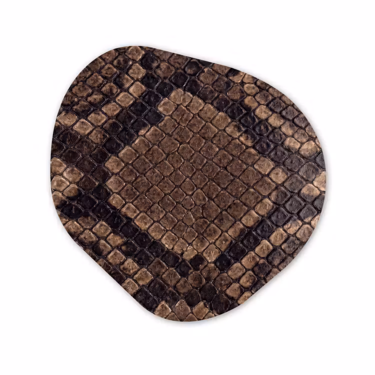 Forme organique - Aluminium - Python - Écailles - Bronze — 1