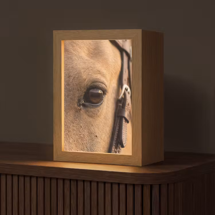 Lampe de table - Cheval - Oeil - Marron — 1