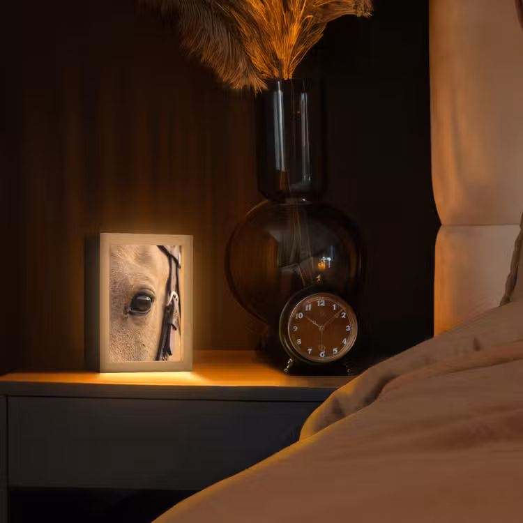 Lampe de table - Cheval - Oeil - Marron — 2