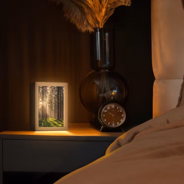 Lampe de table - Forêt - Herbe - Soleil — 2