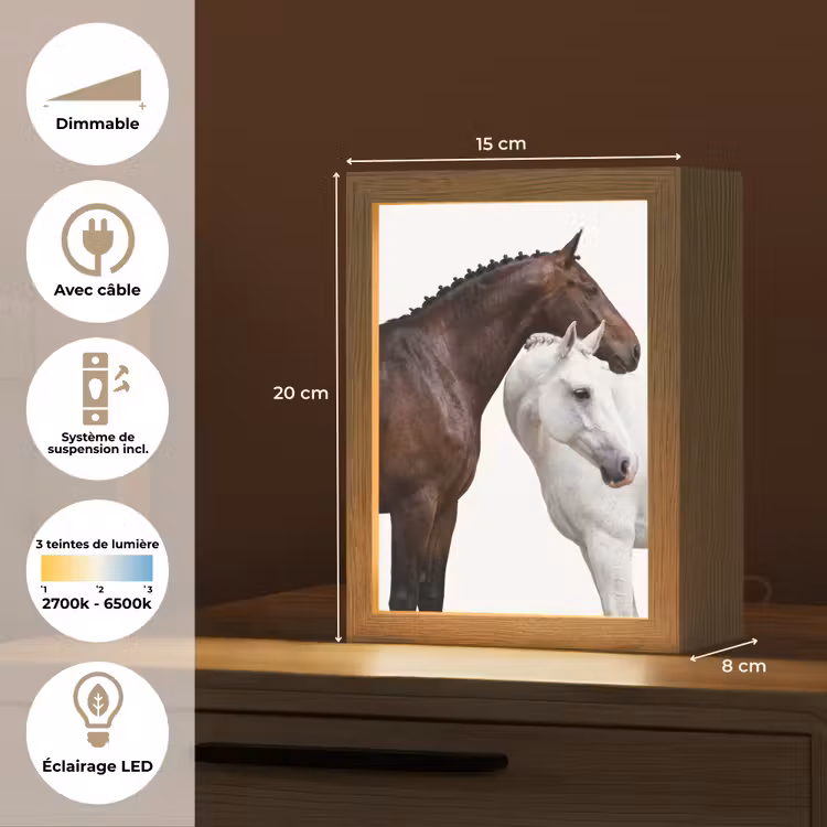 Lampe de table - Cheval - Moderne - Equilibre — 6