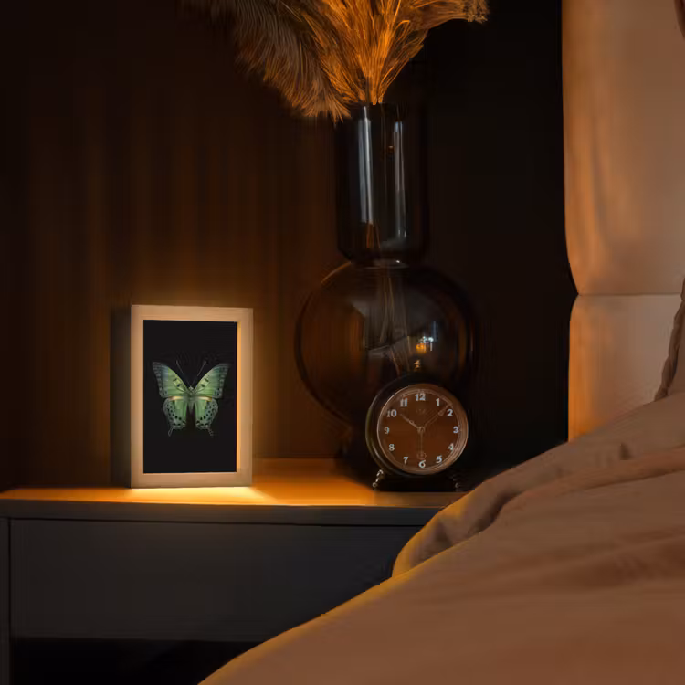 lampe de table - Papillon - Vert - Profondeur — 2