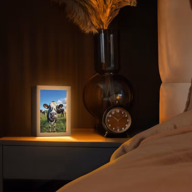 lampe de table - Vache - Langue - Pré — 2