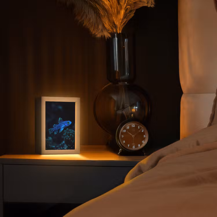 Lampe de table - Poisson - Points - Corail - Bleu — 2