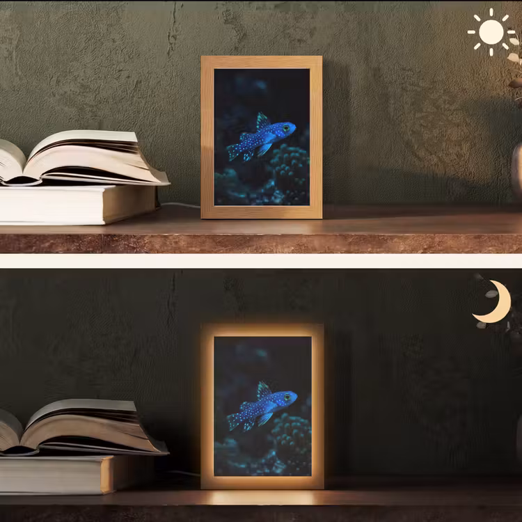 Lampe de table - Poisson - Points - Corail - Bleu — 5