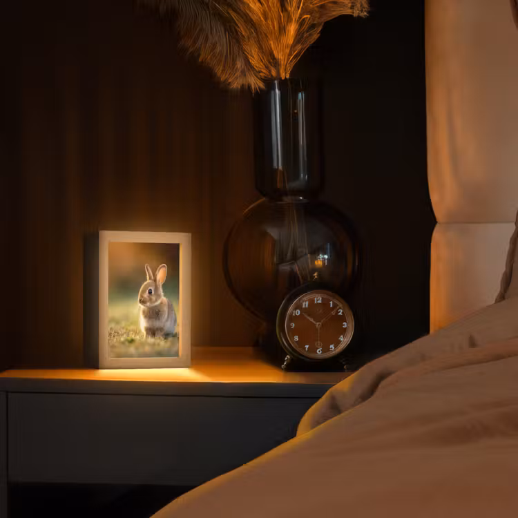 Lampe de table - Lapin - Marron - Herbe — 2
