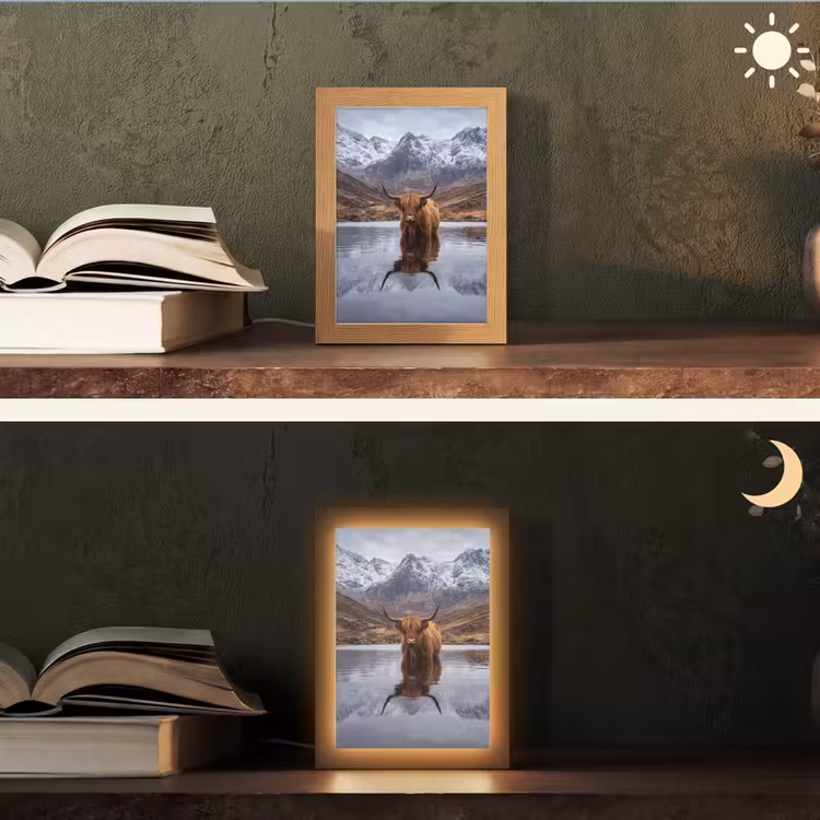 Lampe de table - Highlander écossais - Marron - Eau — 5