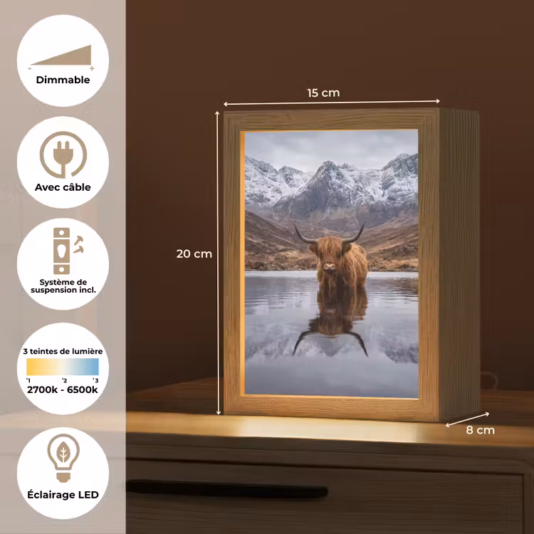 Lampe de table - Highlander écossais - Marron - Eau — 6