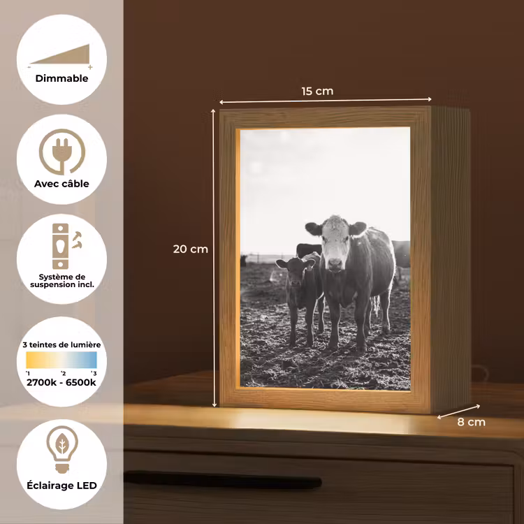 Lampe de table - Vaches - Noir et blanc — 6