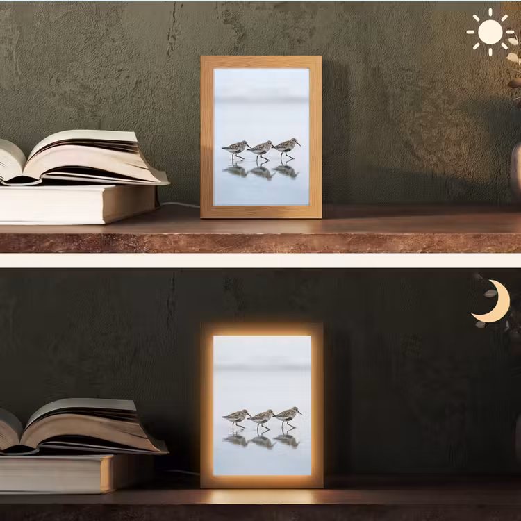 Lampe de table - Oiseaux - Eau - Gris — 5