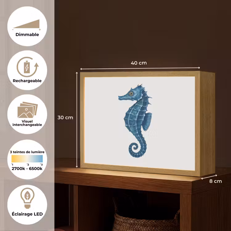 Lightbox - applique-murale - Hippocampe - Queue - Bleu — 9