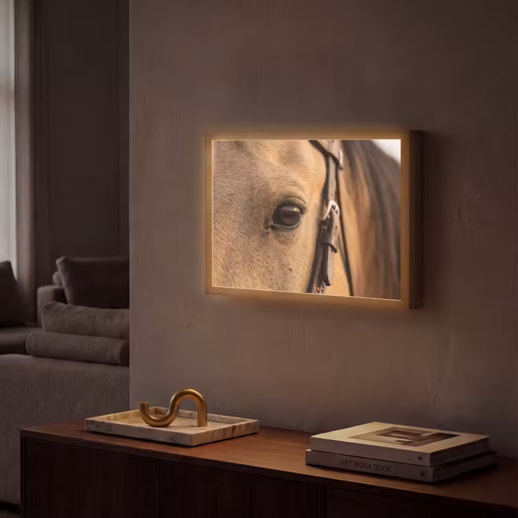 Lightbox - applique-murale - Cheval - Oeil - Marron — 2