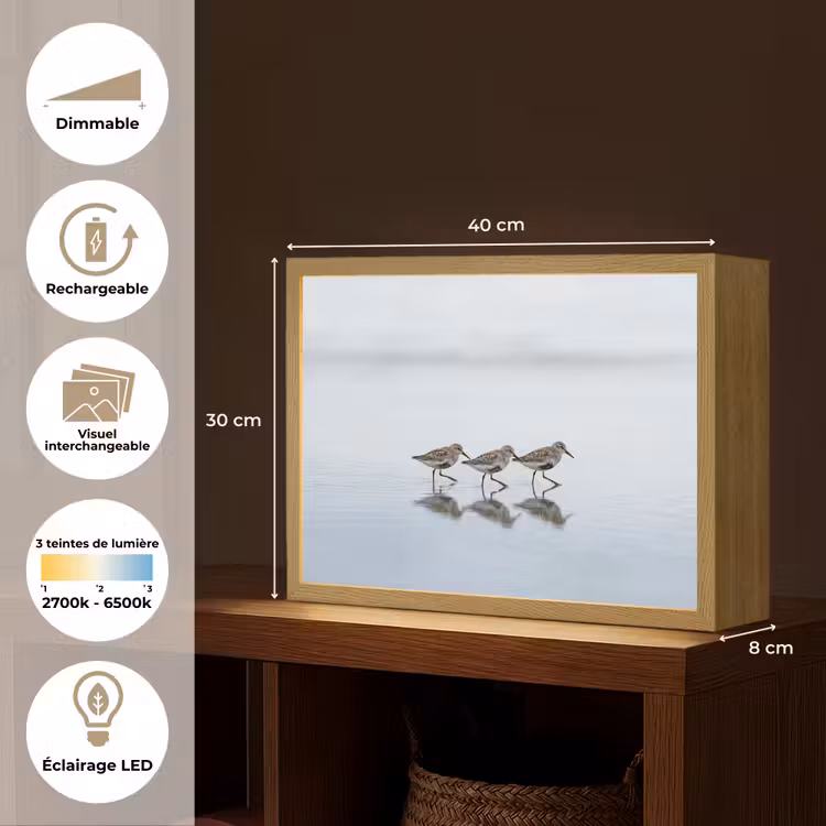 Lightbox - Applique-Murale - Oiseaux - Eau - Gris — 9