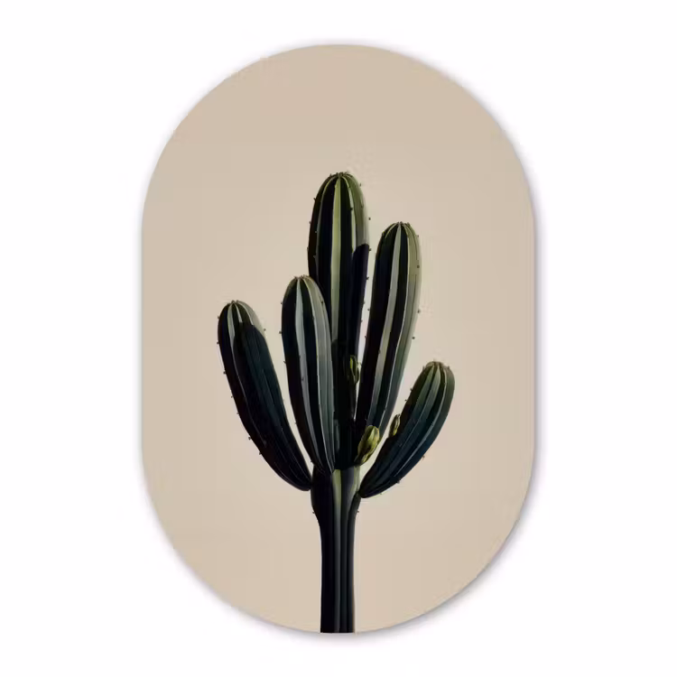 Murale ovale - Forex - Cactus - Subtil - Vert — 3
