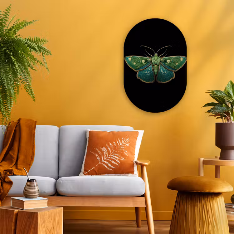 Murale ovale - Forex - Moth - Vibrant - Vert — 1