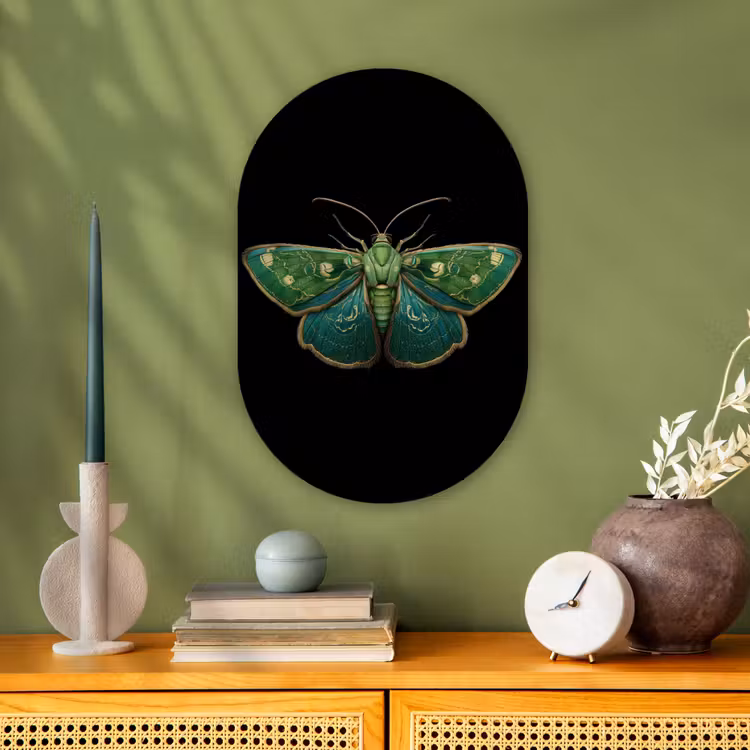 Murale ovale - Forex - Moth - Vibrant - Vert — 2