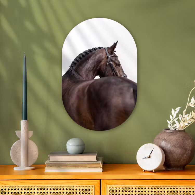 Murale ovale - Forex - Portrait - Cheval - Elégant — 2