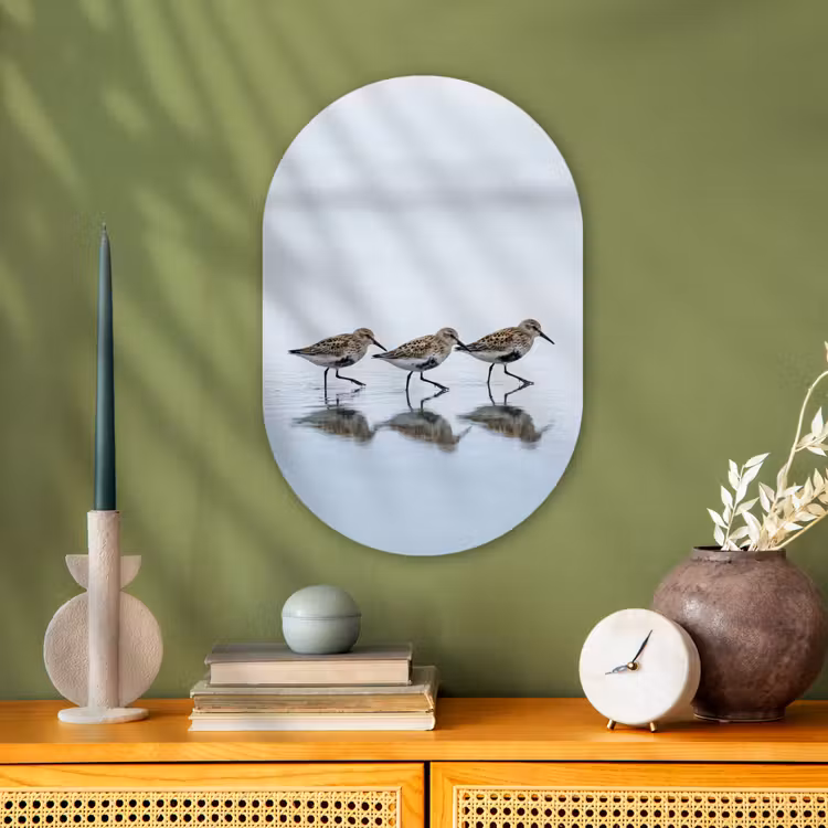 Murale ovale - Forex - Oiseaux - Eau - Gris — 2