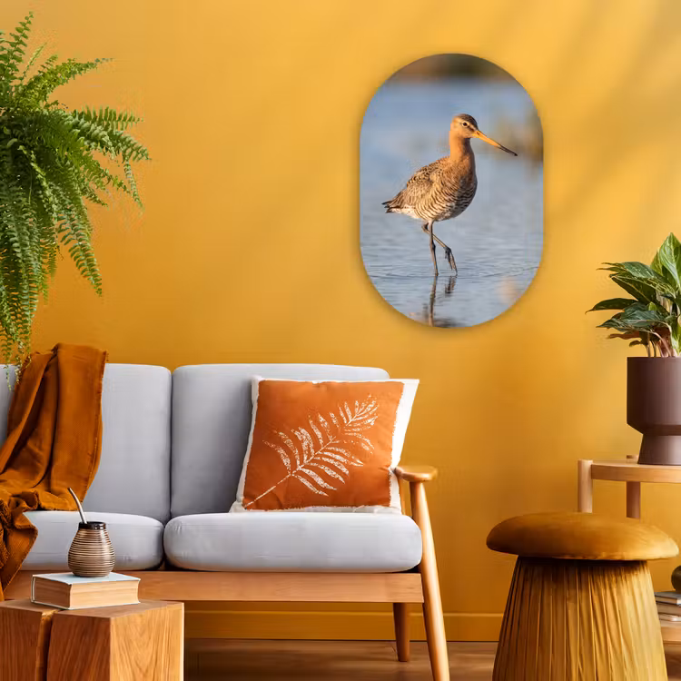 Murale ovale - Forex - Oiseau - Échasse - Eau - Nature — 1