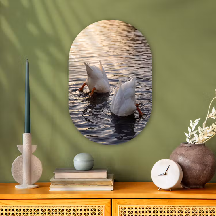 Murale ovale - Forex - Canards - Eau - Nature — 2