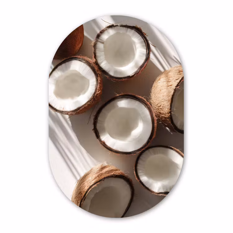 Murale ovale - Plexiglas - Coconuts - Brown - Shade — 1