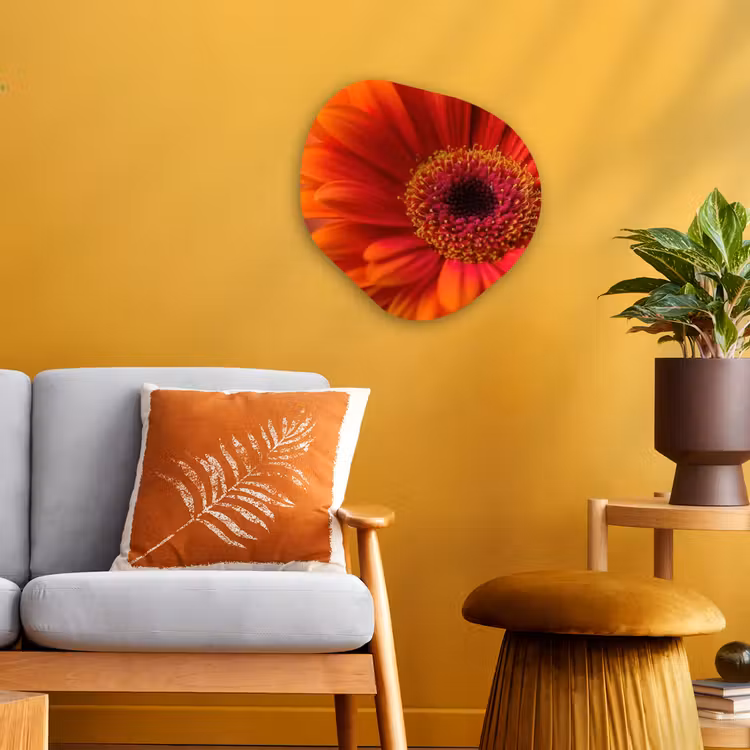 Forme organique - Forex - Orange - Gerbera - Intense — 3