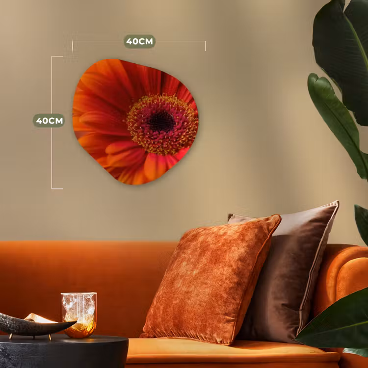 Forme organique - Forex - Orange - Gerbera - Intense — 4