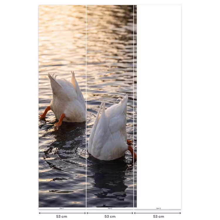 Papier peint - Canards - Eau - Nature — 6