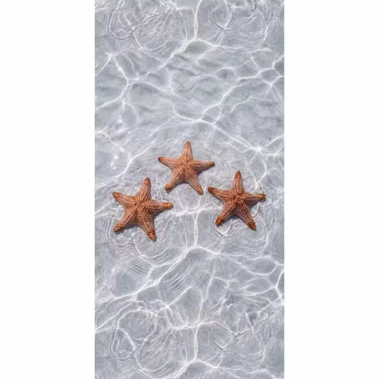 Papier peint - Étoile de mer - Eau - Clair — 2