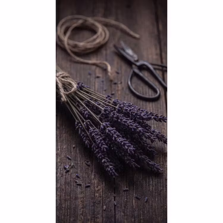 Papier peint - Fleurs - Rustique - Violet — 2