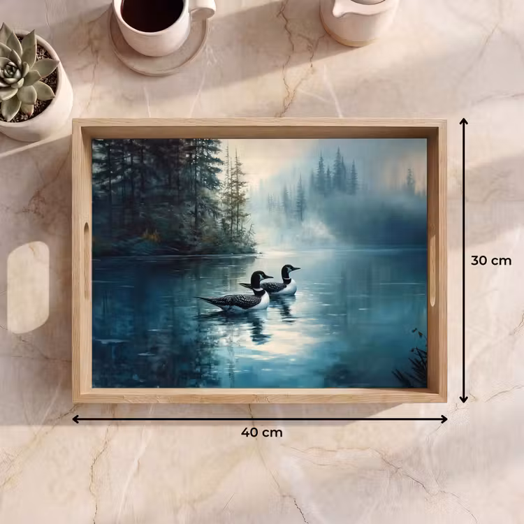 Plateau - Forêt - Eau - Canards - Brumeux — 9