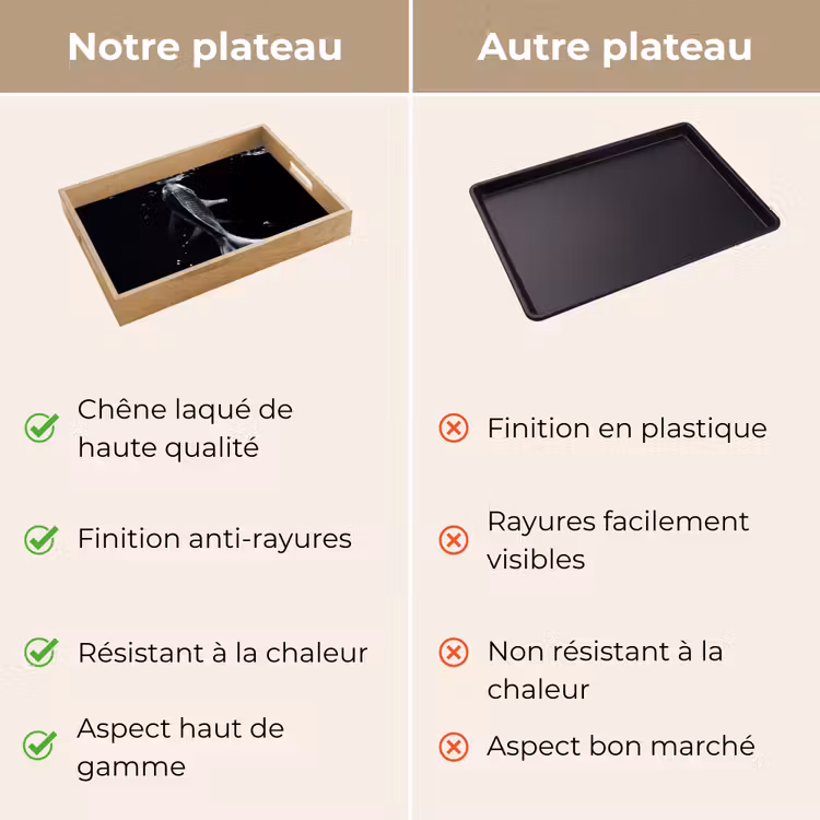 Plateau - Koi - Poisson - Eau - Noir — 3