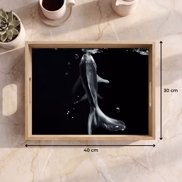 Plateau - Koi - Poisson - Eau - Noir — 9
