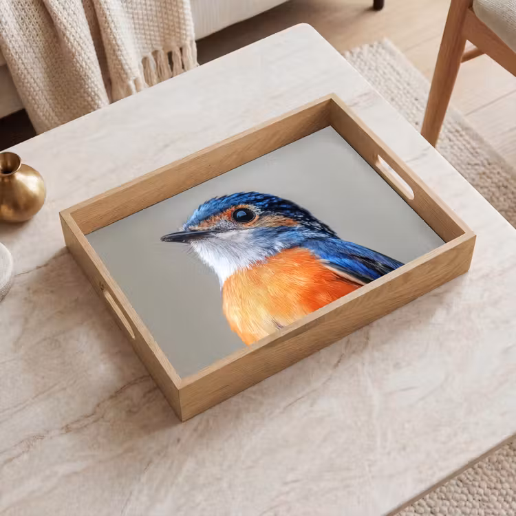 Plateau - Coloré - Oiseau - Plumes - Bleu — 2