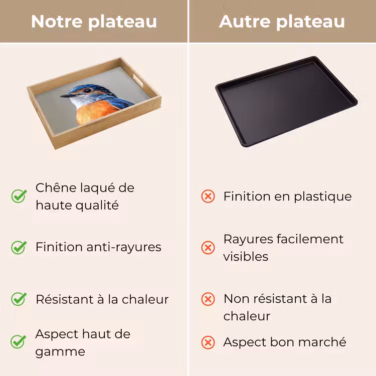 Plateau - Coloré - Oiseau - Plumes - Bleu — 3