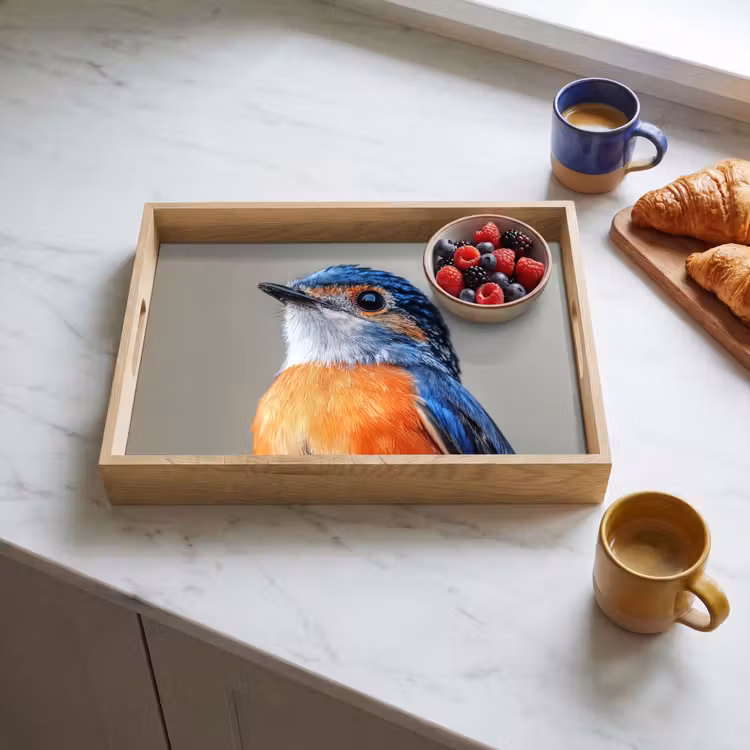 Plateau - Coloré - Oiseau - Plumes - Bleu — 4