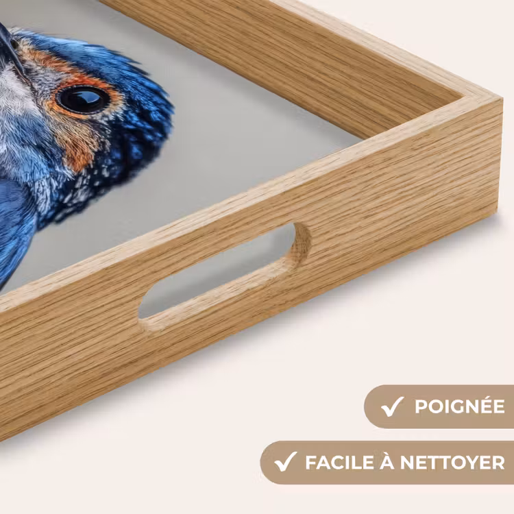 Plateau - Coloré - Oiseau - Plumes - Bleu — 5