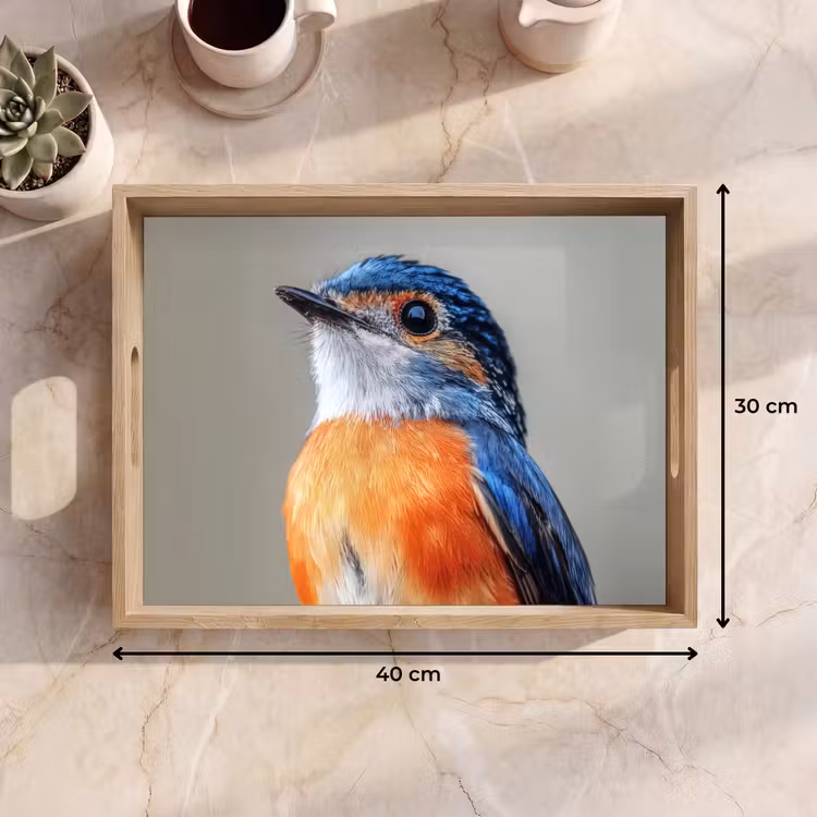 Plateau - Coloré - Oiseau - Plumes - Bleu — 9