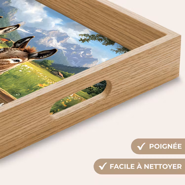 Plateau - Ânes - Fleurs - Étés — 5