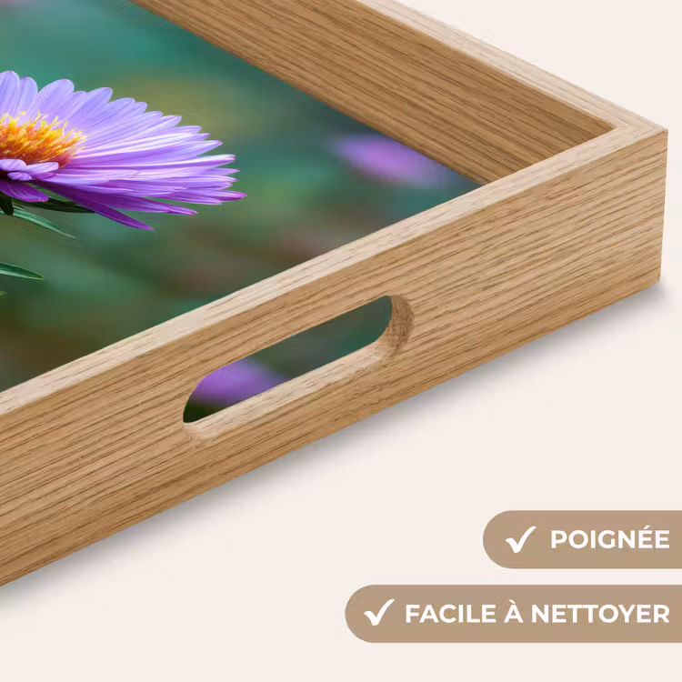 Plateau - Aster - Violet - Fleur - Pétales — 5